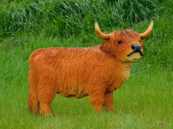 Scottish Highlander - 60 cm - Polystone