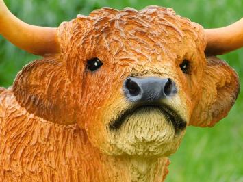 Scottish Highlander - 60 cm - Polystone