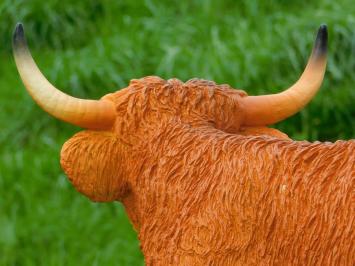 Scottish Highlander - 60 cm - Polystone