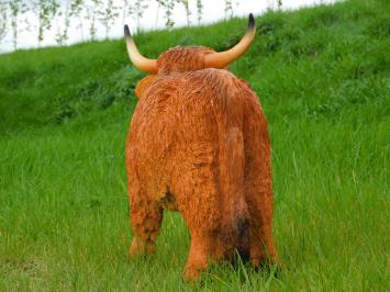 Scottish Highlander - 60 cm - Polystone