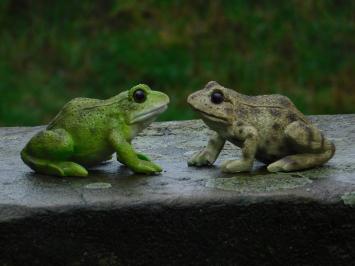 Satz mit 2 Fröschen - Polystone - Sehr detailliert