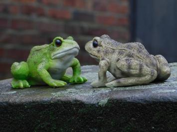 Set of 2 Frogs - Polystone - Highly Detailed