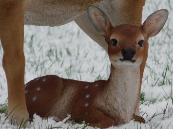 Set of 2 Sika deer - Small and Large - Detailed