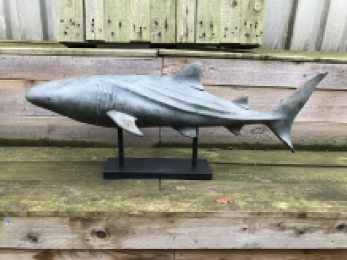 This shark is very special on its stand, beautiful to look at, very decorative!!