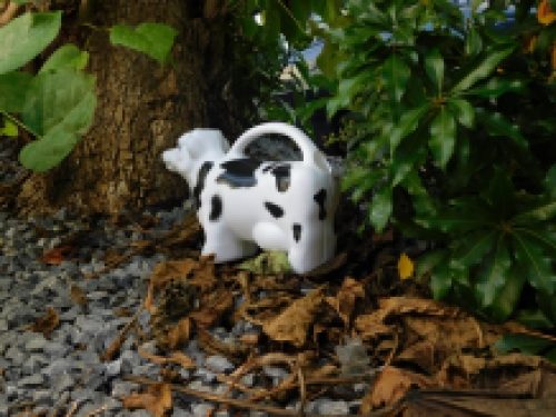 Watering can Cow - black and white - plastic