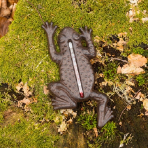 Frog as thermometer, outdoor thermometer as toad, country style