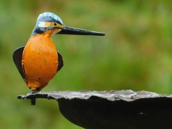 Handgemaakte Voederschaal met IJsvogel - Tuinsteker - Metaal