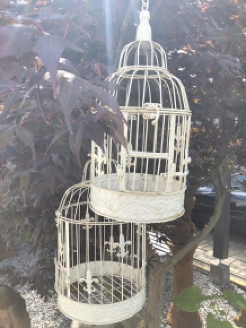 Decorative bird cage clearance kmart