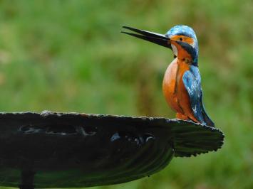 Handmade Feeder with 2 Kingfishers - Garden Stick - Metal