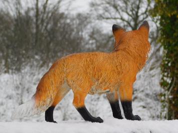 Fuchs - Polystone - Vollfarbe - Detailliert