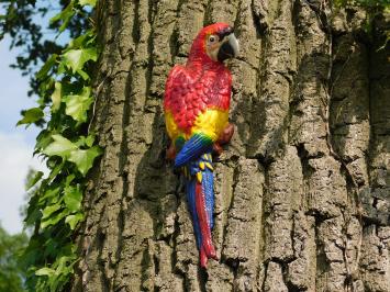 Red Parrot - Cast iron