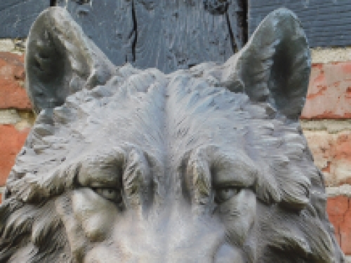 Large wolf head, very beautiful in expression, polystone
