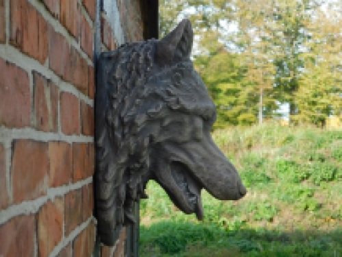 Large wolf head, very beautiful in expression, polystone