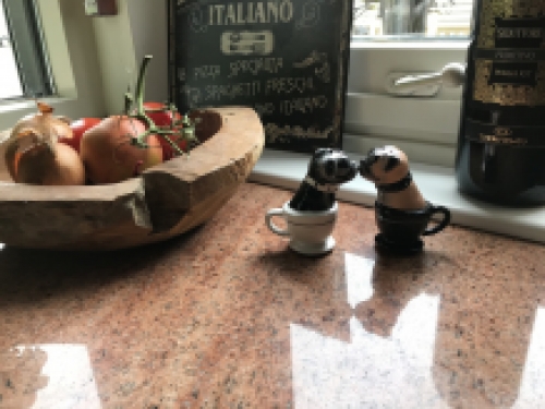 Salt and pepper pots, 2 kissing dogs in cups, very nice!